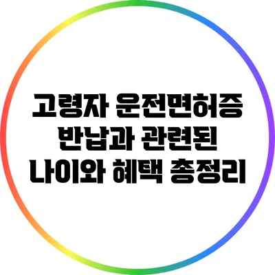 고령자 운전면허증 반납과 관련된 나이와 혜택 총정리