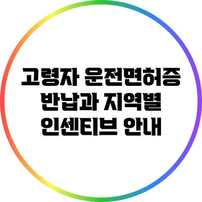 고령자 운전면허증 반납과 지역별 인센티브 안내