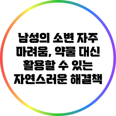 남성의 소변 자주 마려움, 약물 대신 활용할 수 있는 자연스러운 해결책