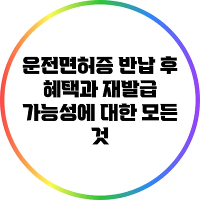 운전면허증 반납 후 혜택과 재발급 가능성에 대한 모든 것