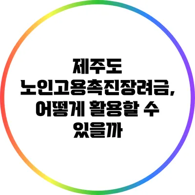 제주도 노인고용촉진장려금, 어떻게 활용할 수 있을까?