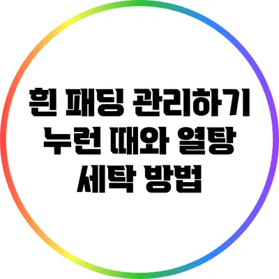 흰 패딩 관리하기: 누런 때와 열탕 세탁 방법