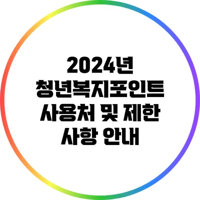 2024년 청년복지포인트 사용처 및 제한 사항 안내