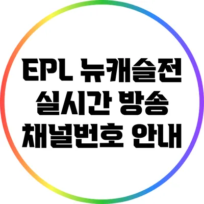 EPL 뉴캐슬전 실시간 방송 채널번호 안내
