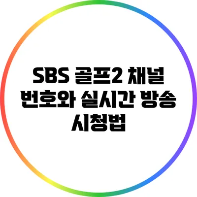 SBS 골프2 채널 번호와 실시간 방송 시청법