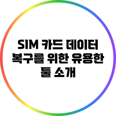 SIM 카드 데이터 복구를 위한 유용한 툴 소개