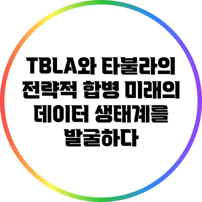 TBLA와 타불라의 전략적 합병: 미래의 데이터 생태계를 발굴하다