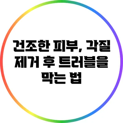 건조한 피부, 각질 제거 후 트러블을 막는 법