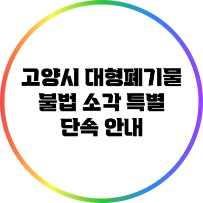 고양시 대형폐기물 불법 소각 특별 단속 안내