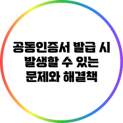 공동인증서 발급 시 발생할 수 있는 문제와 해결책