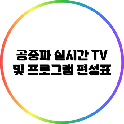 공중파 실시간 TV 및 프로그램 편성표