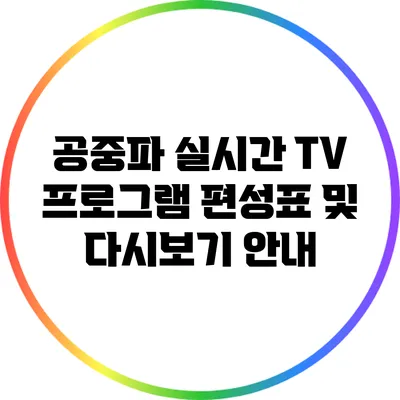 공중파 실시간 TV 프로그램 편성표 및 다시보기 안내
