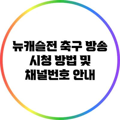 뉴캐슬전 축구 방송 시청 방법 및 채널번호 안내