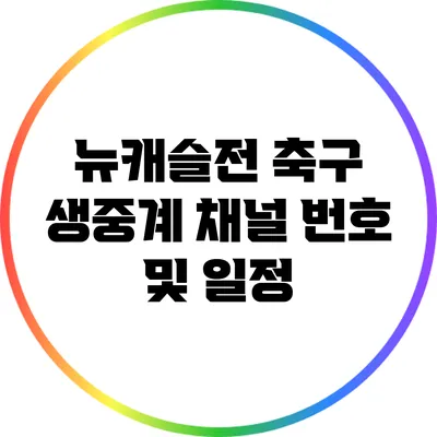 뉴캐슬전 축구 생중계 채널 번호 및 일정