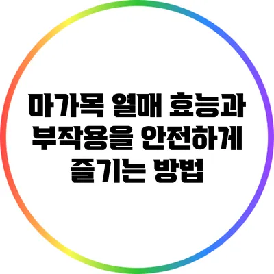 마가목 열매: 효능과 부작용을 안전하게 즐기는 방법