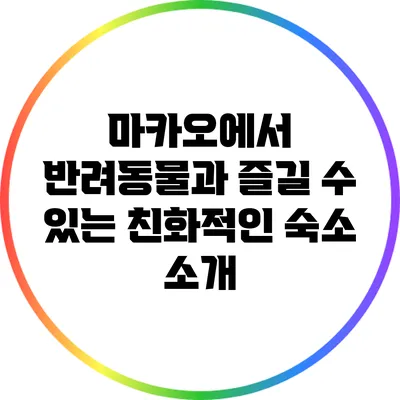 마카오에서 반려동물과 즐길 수 있는 친화적인 숙소 소개