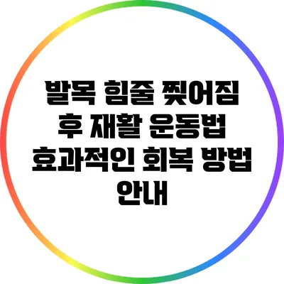 발목 힘줄 찢어짐 후 재활 운동법: 효과적인 회복 방법 안내