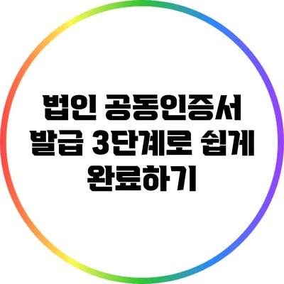 법인 공동인증서 발급 3단계로 쉽게 완료하기