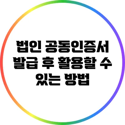 법인 공동인증서 발급 후 활용할 수 있는 방법