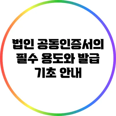 법인 공동인증서의 필수 용도와 발급 기초 안내