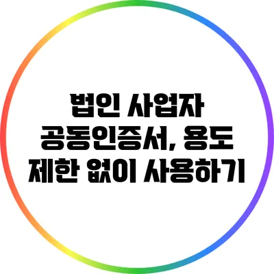 법인 사업자 공동인증서, 용도 제한 없이 사용하기