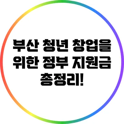 부산 청년 창업을 위한 정부 지원금 총정리!