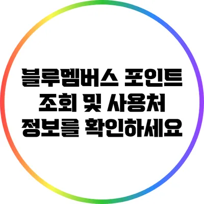 블루멤버스 포인트 조회 및 사용처 정보를 확인하세요