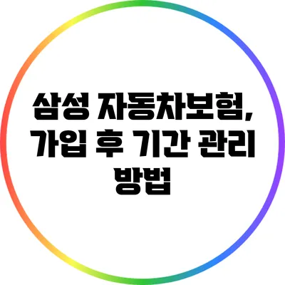 삼성 자동차보험, 가입 후 기간 관리 방법