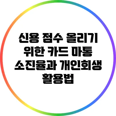신용 점수 올리기 위한 카드 마통 소진율과 개인회생 활용법