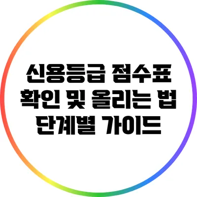 신용등급 점수표 확인 및 올리는 법 단계별 가이드