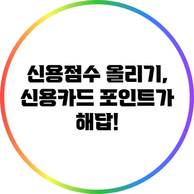 신용점수 올리기, 신용카드 포인트가 해답!