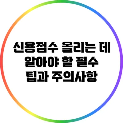 신용점수 올리는 데 알아야 할 필수 팁과 주의사항