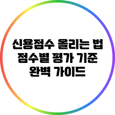 신용점수 올리는 법: 점수별 평가 기준 완벽 가이드