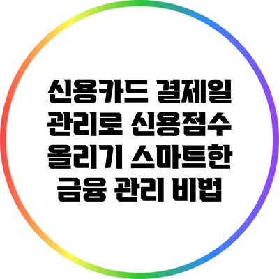 신용카드 결제일 관리로 신용점수 올리기: 스마트한 금융 관리 비법