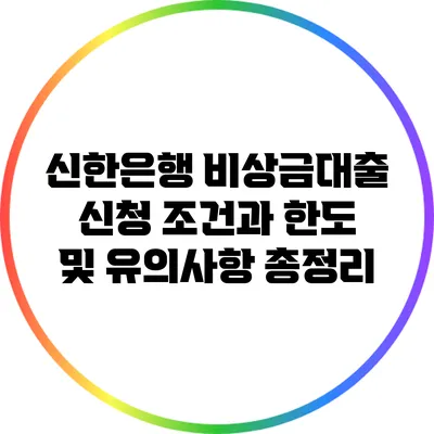 신한은행 비상금대출 신청 조건과 한도 및 유의사항 총정리