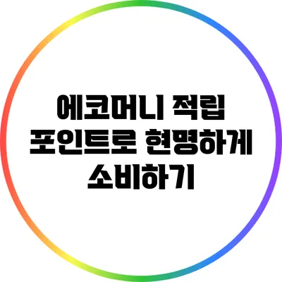 에코머니 적립 포인트로 현명하게 소비하기
