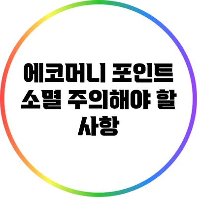 에코머니 포인트 소멸: 주의해야 할 사항