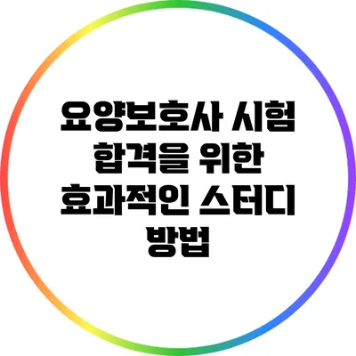 요양보호사 시험 합격을 위한 효과적인 스터디 방법