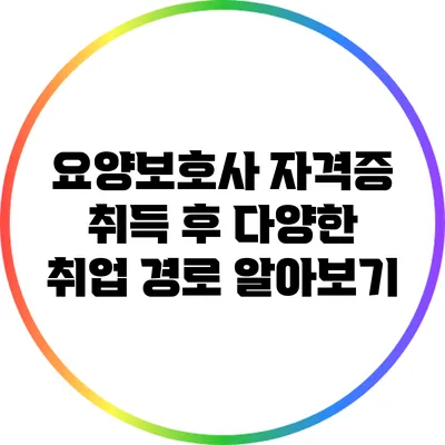 요양보호사 자격증 취득 후 다양한 취업 경로 알아보기