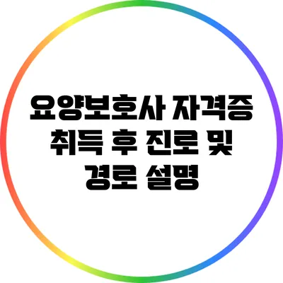 요양보호사 자격증 취득 후 진로 및 경로 설명