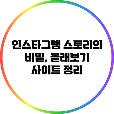 인스타그램 스토리의 비밀, 몰래보기 사이트 정리