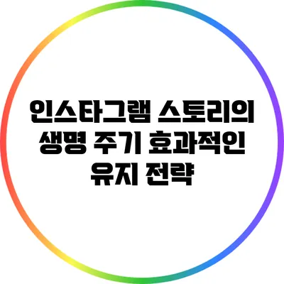 인스타그램 스토리의 생명 주기: 효과적인 유지 전략