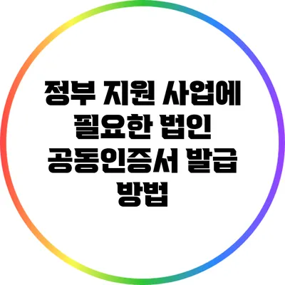 정부 지원 사업에 필요한 법인 공동인증서 발급 방법
