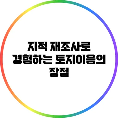 지적 재조사로 경험하는 토지이음의 장점