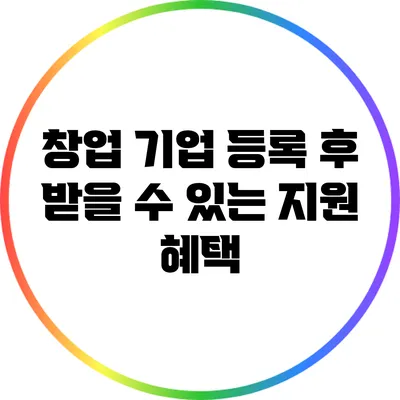 창업 기업 등록 후 받을 수 있는 지원 혜택