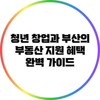 청년 창업과 부산의 부동산 지원 혜택 완벽 가이드