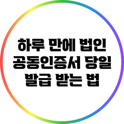 하루 만에 법인 공동인증서 당일 발급 받는 법