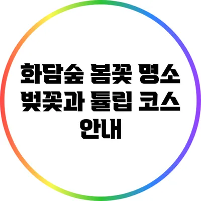 화담숲 봄꽃 명소: 벚꽃과 튤립 코스 안내
