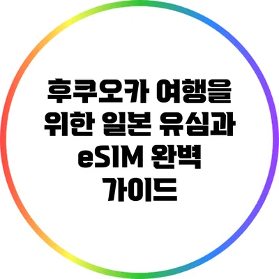 후쿠오카 여행을 위한 일본 유심과 eSIM 완벽 가이드