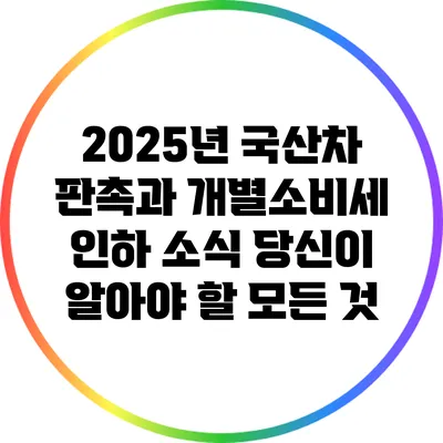 2025년 국산차 판촉과 개별소비세 인하 소식: 당신이 알아야 할 모든 것
